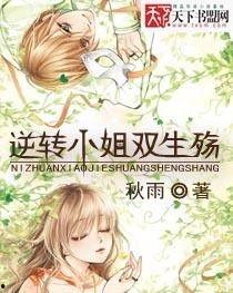 双生逆转,命运交织的奇幻旅程