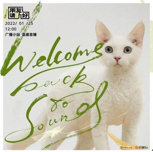 朋友请听好 第二季（悄悄话）,悄悄话里的温暖共鸣