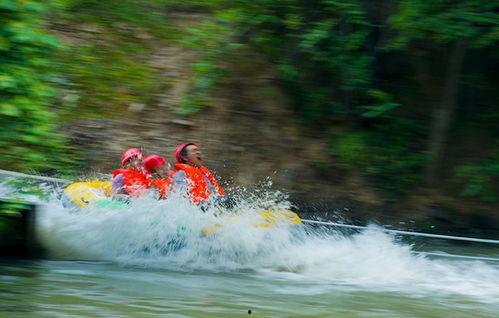 漂流者,探寻未知与自我