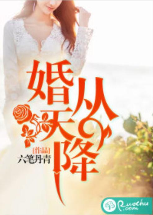 婚从天降,缘定三生，甜蜜邂逅的浪漫传奇