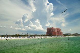 坦帕湾家园 第一季,梦想起航，温馨家园的温馨故事