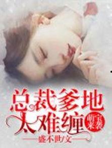 天才萌宝傲娇妻,甜蜜宠爱与智慧较量