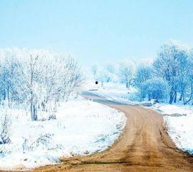下雪天,浪漫雪景下的冬日童话