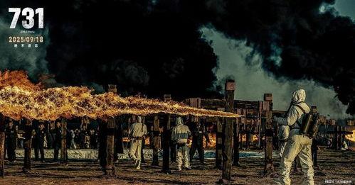 731 (2025),731计划背后的秘密与影响
