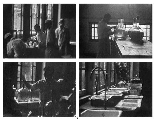 731 (2025),731计划背后的秘密与影响